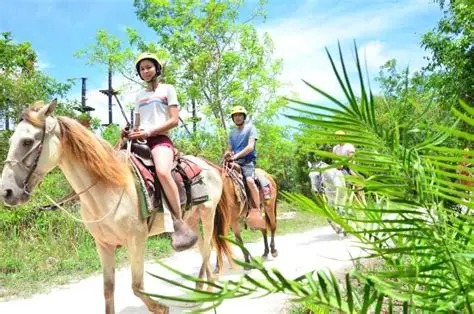 Paseo a Caballo – Una experiencia natural y relajante