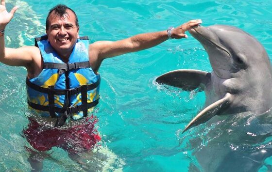Nado con Delfines Funtastic – 40 minutos